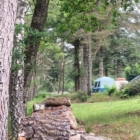 STAANPLAATS - Standplaats voor tent (+ fiets, mountainbike) en 1 persoon