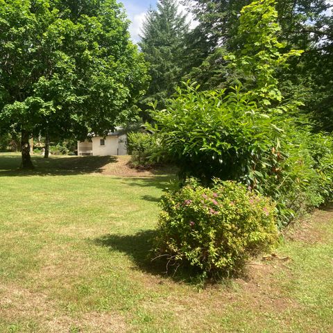 STAANPLAATS - Standplaats voor tent (+ fiets, mountainbike) en 1 persoon