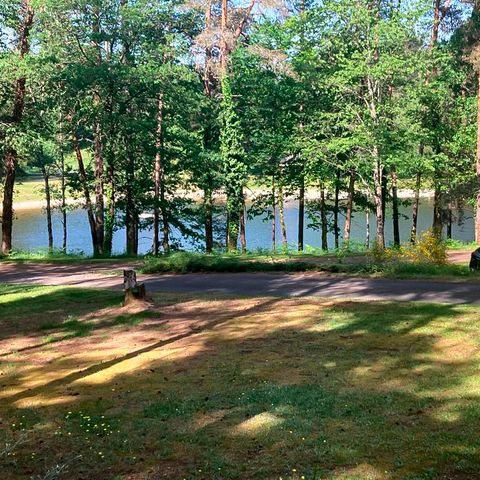 STAANPLAATS - Standplaats voor tent (+ fiets, mountainbike) en 1 persoon