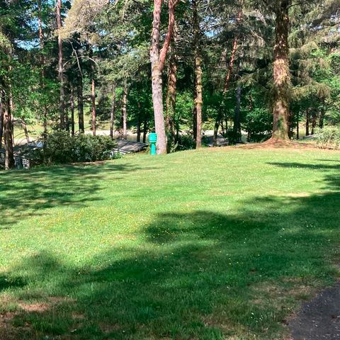 STAANPLAATS - Standplaats voor tent (+ fiets, mountainbike) en 1 persoon