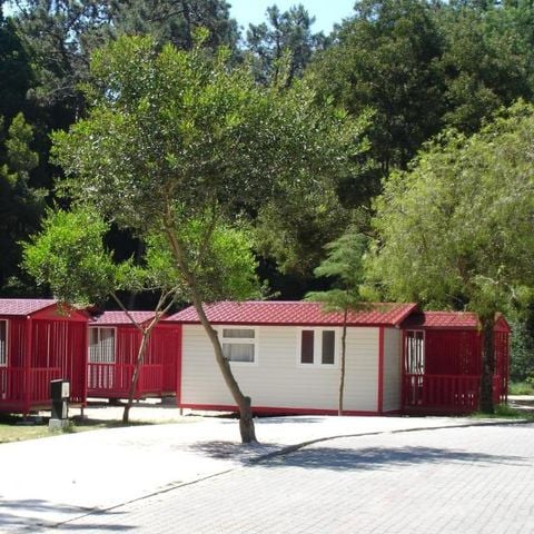 BUNGALOW 5 people - MEDITERRANEO