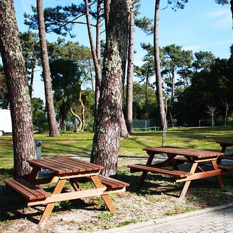 Camping Caminha - Camping Nord du Portugal - Image N°4