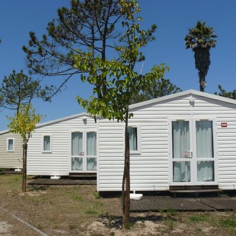 Mobile home 5 persons - HAWAI - without sanitary facilities & kitchen