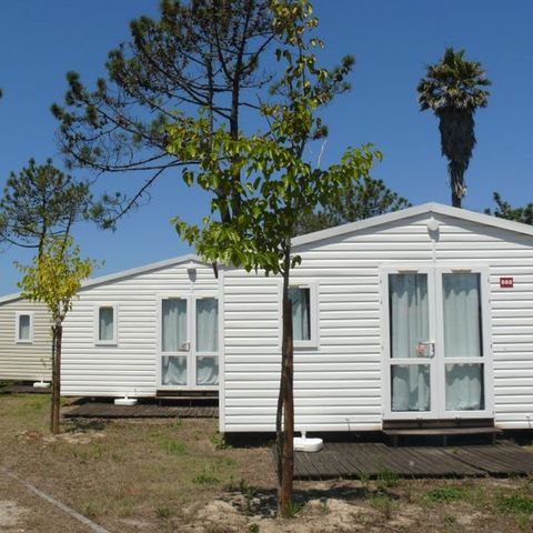 Bungalow 5 Personen - HAWAI - ohne Sanitär