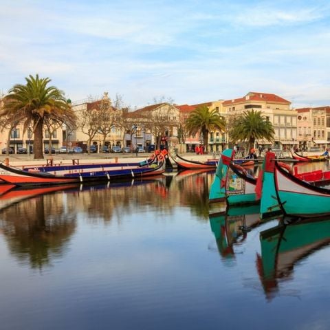 Camping Mira - Camping Portogallo Centrale - Image N°3