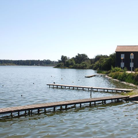 Camping Mira - Camping Centre du Portugal - Image N°6