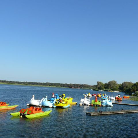 Camping Mira - Camping Centre du Portugal - Image N°6