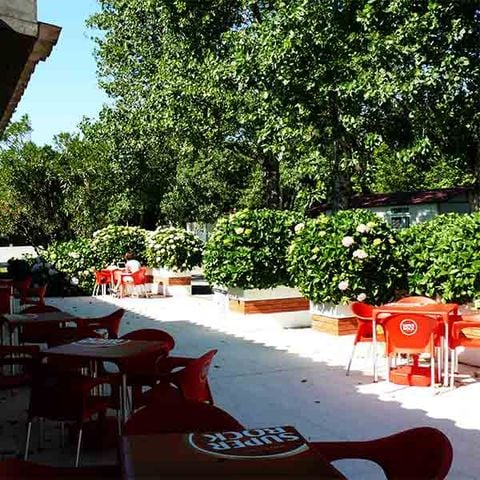 Camping Mira - Camping Centro de Portugal - Image N°4