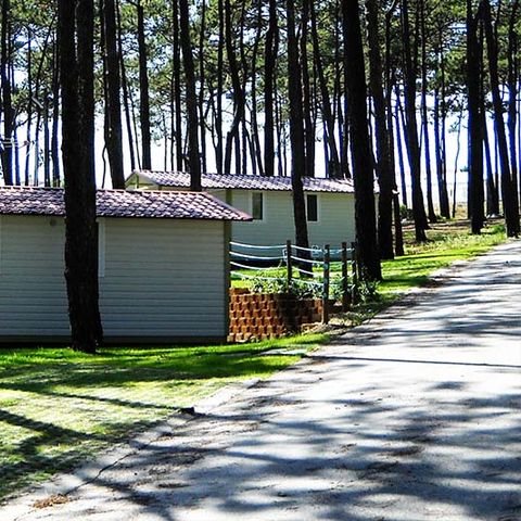 BUNGALOW 2 people - ATLANTICO