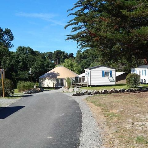 Mobilheim 4 Personen - MH2 Ruby