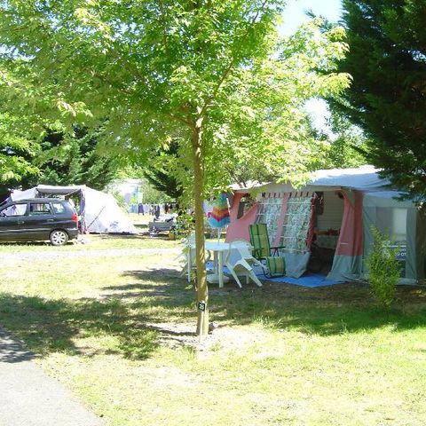 Pitch - Electrified pitch 2/6 pers