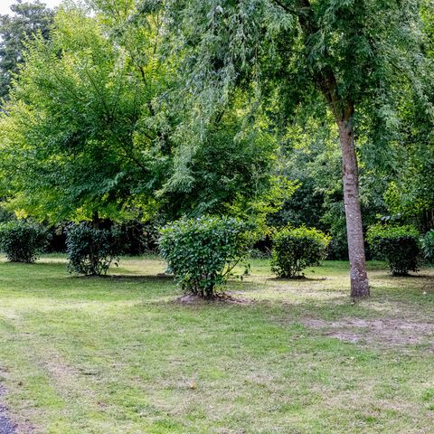Kampeerplaats - Niet-geëlektrificeerde standplaats 2/6 pers