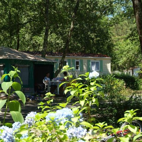 Bungalowtent 4 personen - CARIBISCH GEBIED (ZONDER SANITAIR)