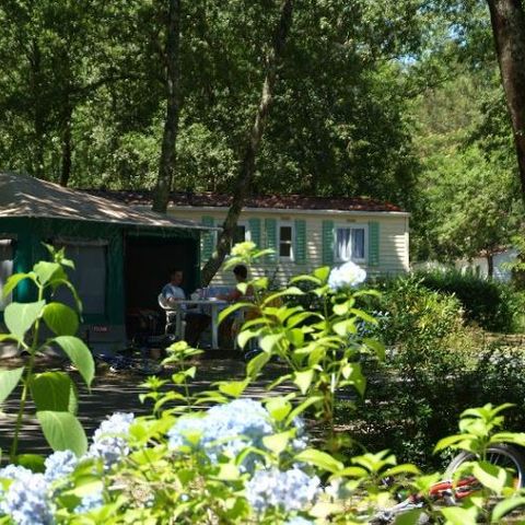 Glampingtent 4 personen - Caribisch gebied (zonder sanitair)