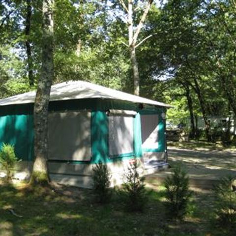 Glampingtent 4 personen - Caribisch gebied (zonder sanitair)