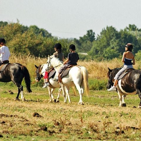 Camping Les Embruns d'Oléron - Camping Charente-Maritime - Image N°5