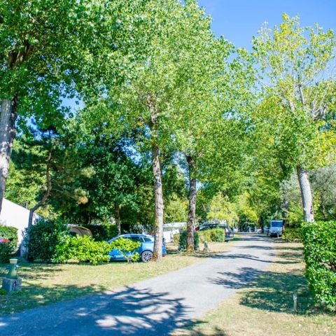 EMPLACEMENT - Confort entre 80m2 et 120m2