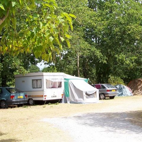 Stellplatz - Zelt + 1 Auto