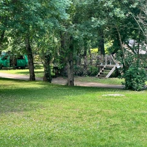 STAANPLAATS - Comfort standplaats 80m² (1 tent, caravan of camper / 1 auto / elektriciteit) 1/6 pers