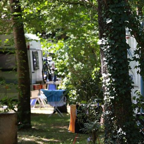 Kampeerplaats - Privilege standplaats 130m² (1 tent, caravan of camper / 1 auto / elektriciteit + water) 1/6 pers