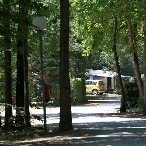 Kampeerplaats - Privilege standplaats 130m² (1 tent, caravan of camper / 1 auto / elektriciteit + water) 1/6 pers