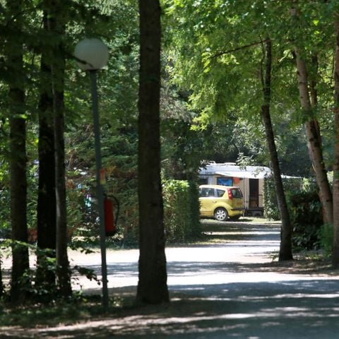 Pitch - Privilege pitch 130m² (1 tent, caravan or motor home / 1 car / electricity + water) 1/6 pers