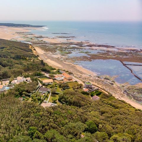 Camping maeva Club Les Dinosaures Camping maeva Club Les Dinosaures - Camping Vendée - Image N°67