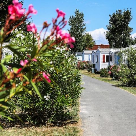 Camping maeva Club Les Dinosaures Camping maeva Club Les Dinosaures - Camping Vendée - Image N°71
