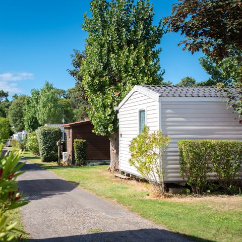 Camping maeva Club Les Dinosaures Camping maeva Club Les Dinosaures - Camping Vendée - Image N°57
