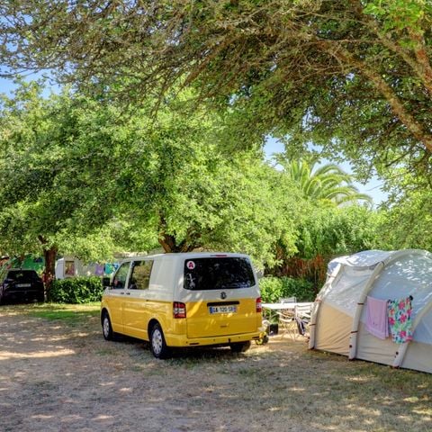 Pitch - tent/caravan/camping-car (maximum 7 m long)