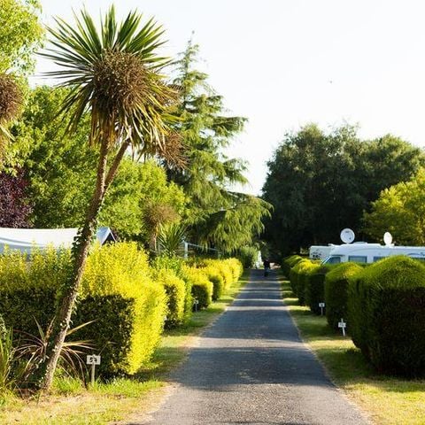 EMPLACEMENT - tente/caravane/camping-car (maximum 7 m de long)