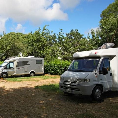 PLOT - Special offer on motorhome site /short-stay: Pitch/night including 2 pers+elect10A-.