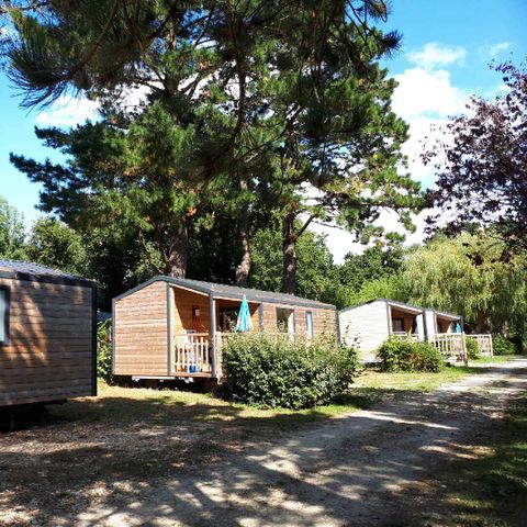 Camping De La Plage à Benodet Camping De La Plage à Benodet - Camping Finistere - Image N°18