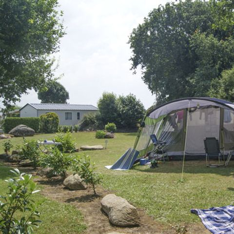STAANPLAATS - Comfort pakket 80 tot 100m² : tent, caravan of camper / 1 auto / elektriciteit
