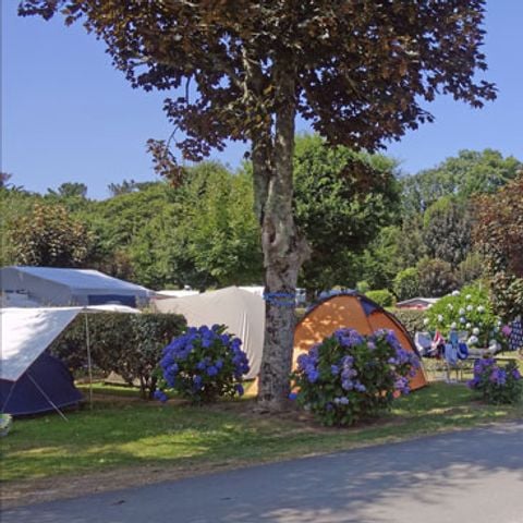 Emplacement - Forfait Confort - 80 à 100m² : tente - Caravane ou camping-car / - 1 voiture - / électricité 2 personnes