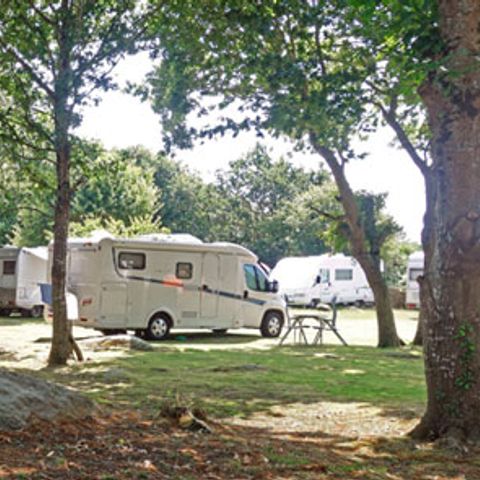 STAANPLAATS - Comfort pakket 80 tot 100m² : tent, caravan of camper / 1 auto / elektriciteit 2 pers.