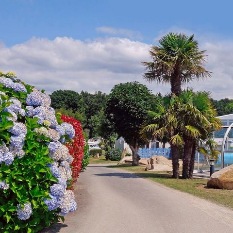 Flower Camping Le Kerleyou - Camping Finistère - Image N°4