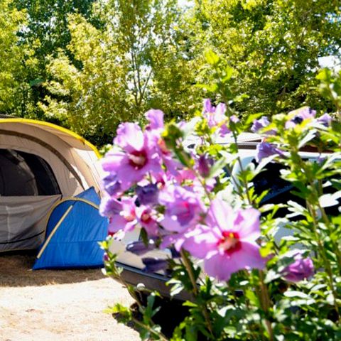 Pitch - Tent