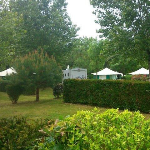 STAANPLAATS - Bestelwagen/camper (max. 6,5m)