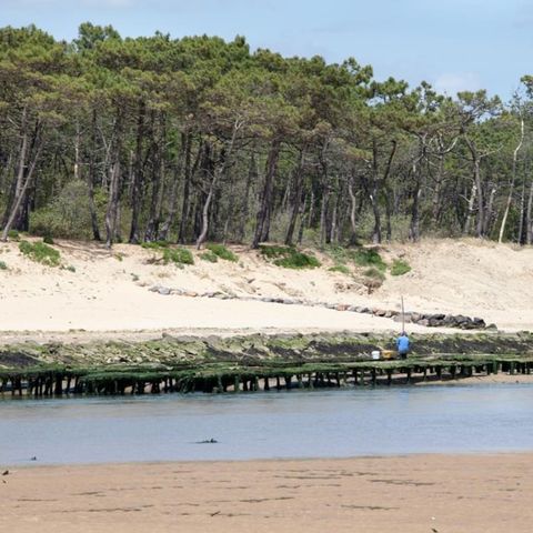 Camping Le Paradis Camping Le Paradis - Camping Vendée - Image N°27