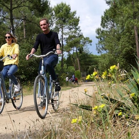 Camping Le Paradis Camping Le Paradis - Camping Vendée - Image N°15