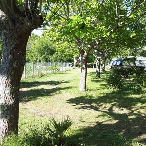 STAANPLAATS - met elektriciteit -