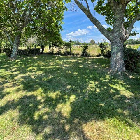 PIAZZOLA - con l'elettricità -