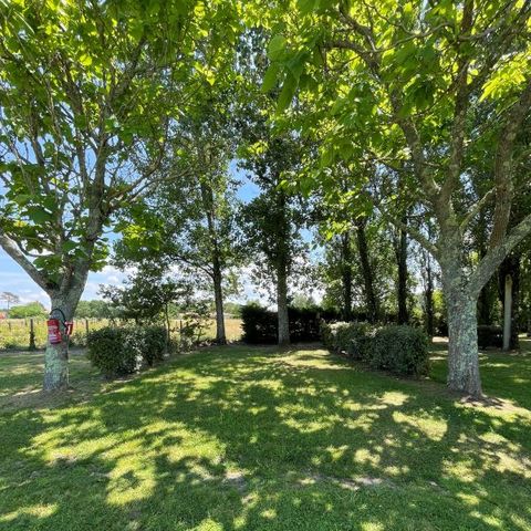 PIAZZOLA - con l'elettricità -