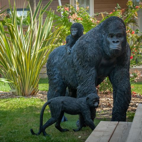 CHALET 6 people - Jungle 3 bedrooms