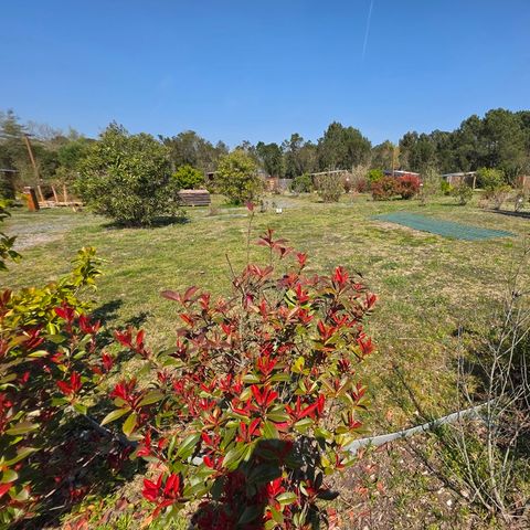 Kampeerplaats - Camperplaats (5 m lang - Green Village 800 m van Domaine de la Forge)