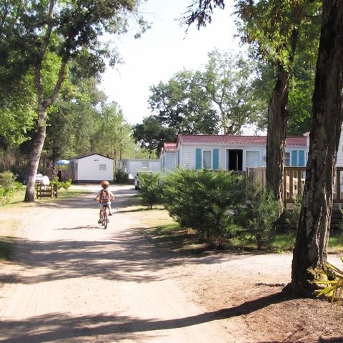 Camping Lou Payou - Camping Landes - Image N°5