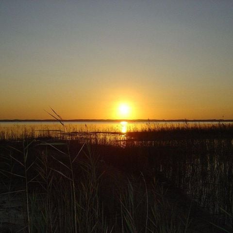 Camping Lou Payou - Camping Landes - Image N°6