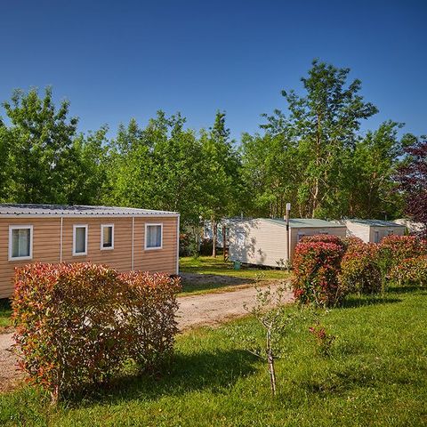Camping Le Chêne Vert Camping Le Chêne Vert - Camping Tarn - Image N°31
