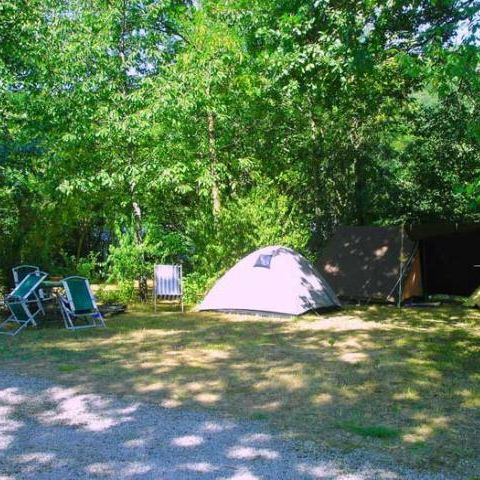 STAANPLAATS - Klassieke staanplaats op de camping